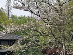 -杭州黄龙洞