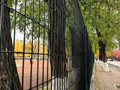 -辽宁大学(崇山校区)