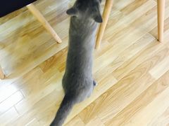 -壹人壹像工作室(购物公园店)