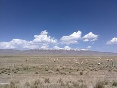 -青海湖国家重点风景名胜区