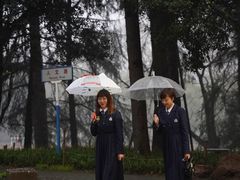 -武汉大学-樱园