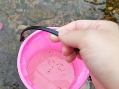 -北仑森林植物园