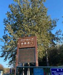 -吨儿熊自然探险乐园·儿童AR自然探索·家庭户外运动(奥林匹克森林公园店)