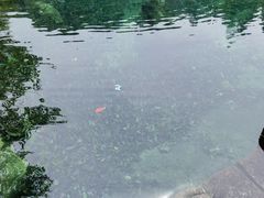 -石台牯牛降景区