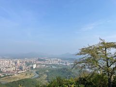 -风云岭森林公园