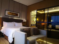 -徐州博顿温德姆酒店(高铁东站店)