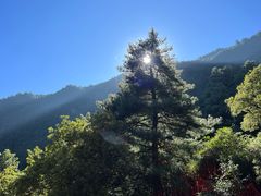 -苍山感通索道