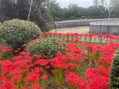 -南京金牛湖风景区