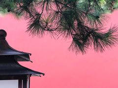 -厉家菜(金宝街店)