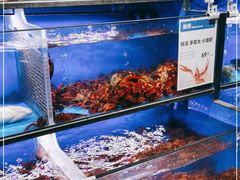 水产区-盒马鲜生(双清路店)