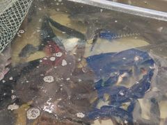 -铁锅炖灶台鱼老三炖鱼馆