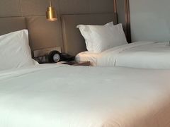-北京丽亭华苑酒店