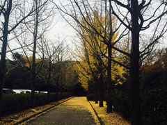景点-热田神宫