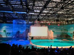 -华夏文旅海洋公园