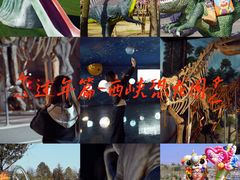 -中国西峡恐龙遗迹园