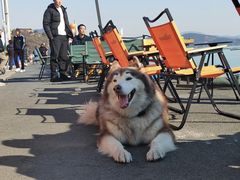 -苏州吴中太湖旅游区