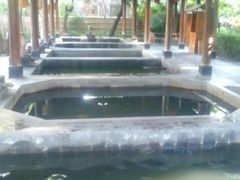 温泉-西安国际创新人才交流中心•药浴温泉