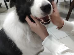 -上海潜殿潜水中心