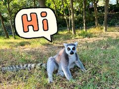 -杭州野生动物世界