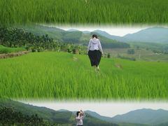 -牙胡梯田