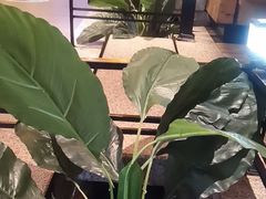 -河坝烧烤串城(金达莱店)