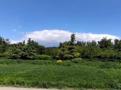 -东郊湿地公园