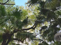 -荔湾湖公园