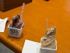 -野人先生现做冰淇淋(北京环宇荟店)