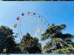 -红山森林动物园