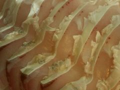 鱼腩-正能量脆肉鲩火锅