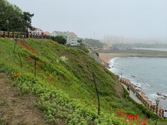 -燕儿岛山公园