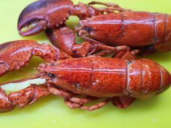 -金掌勺东北菜(格兰晴天店)