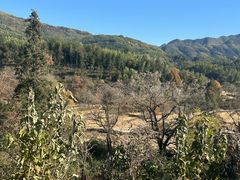 -塔川景区