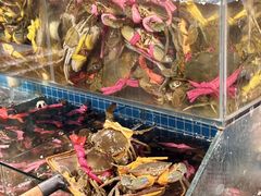 -辣螃铠盆盆蟹大排档(总店)