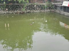 -邹记·美食(斗门店)