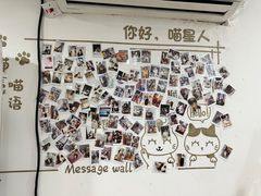 -楼上猫咖(罗湖店)