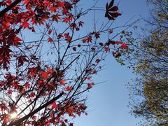 -南京市江宁方山