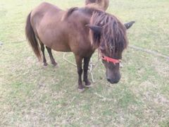 -合肥三国新城遗址公园