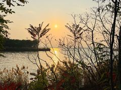 -天津东丽湖风景区