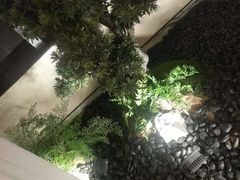 -小厨娘淮扬菜(六合欢乐港店)