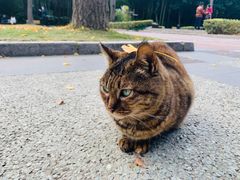 -苏州河梦清园环保主题公园