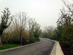 android_upload_pic-上海崇明金茂凯悦酒店