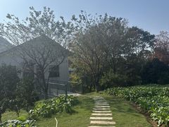 -棋盘山风景区