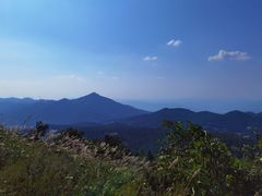 -武陵山森林公园