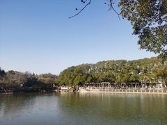 -白马涧龙池景区