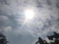 -金莲花广场