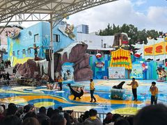-海合安成都极地海洋公园