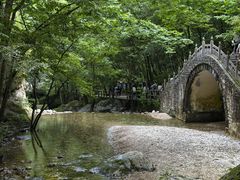 -牛背梁国家森林公园