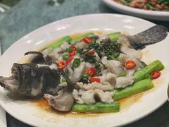-老伙记海鲜码头(北滘店)
