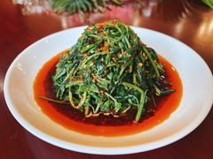 -代木儿回锅肉